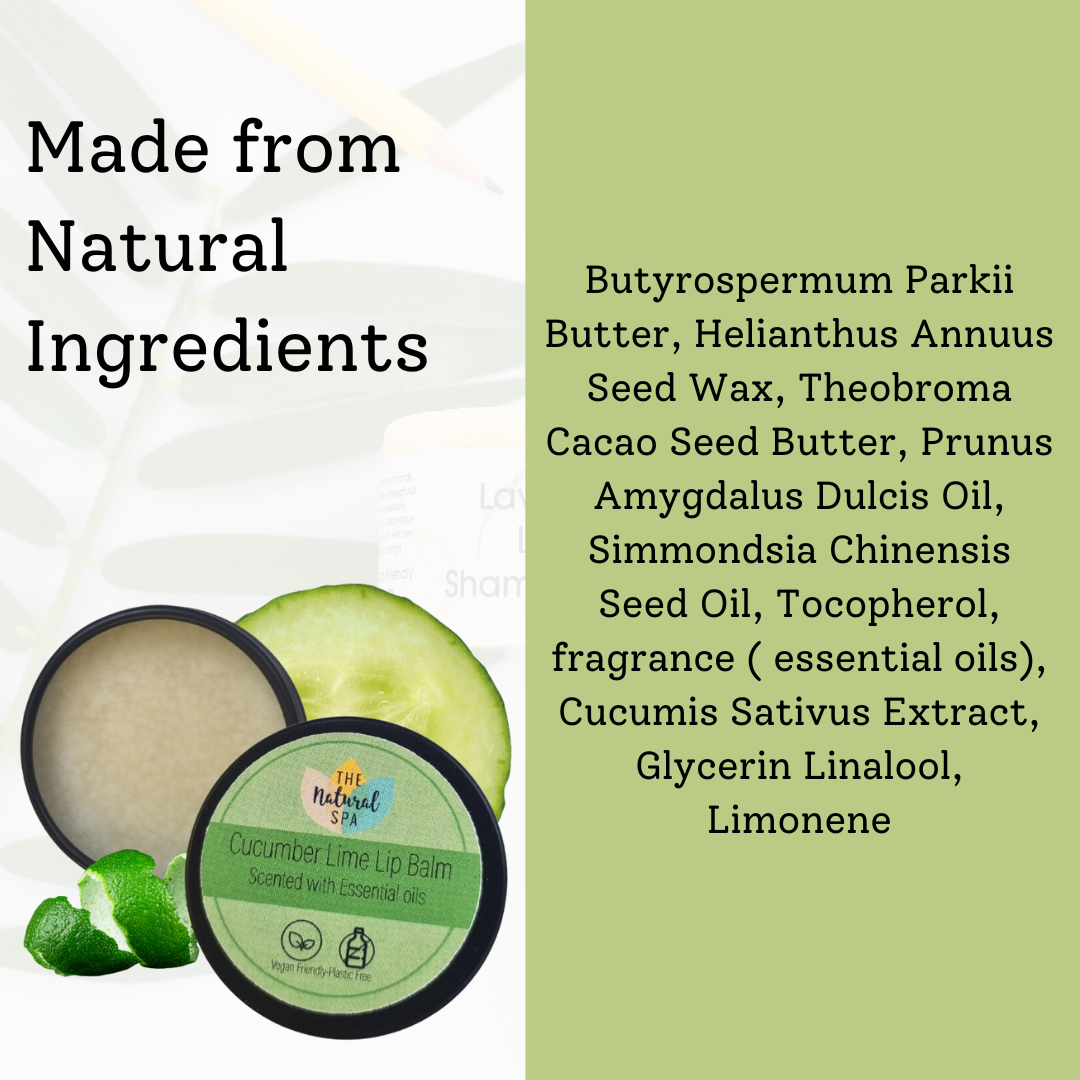 Cucumber Lime Natural Lip Balm | Vegan, Hydrating & Nourishing | Plastic-Free, Handmade Lip Care-4