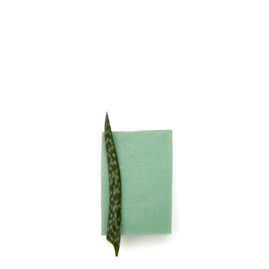 OELFAKTORISCH Dusch- und Pflegeseife mit Aloe Vera 100 g
