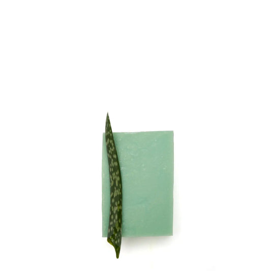 OELFAKTORISCH Dusch- und Pflegeseife mit Aloe Vera 100 g