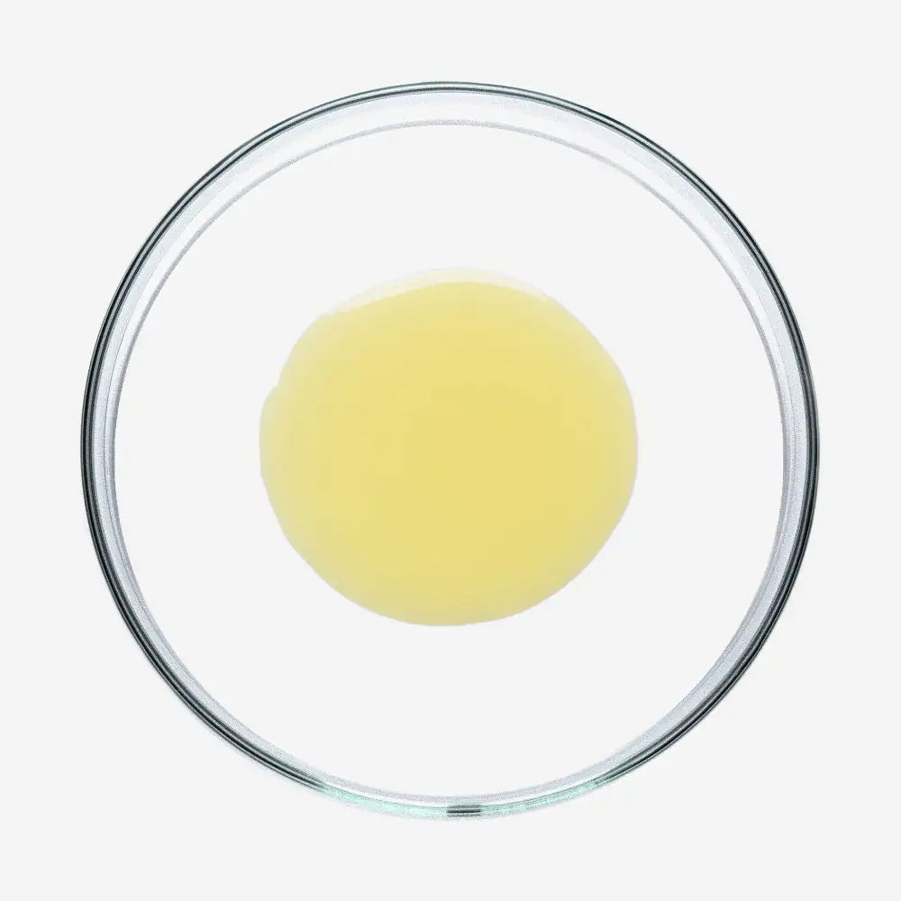 SOBER BERLIN Sun Shield Drops LSF 50 Sonnenschutzserum 30 ml