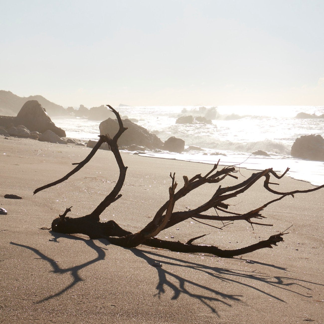 ASMI AYURVEDA Parfüm Öl Earth 10ml - moodbild