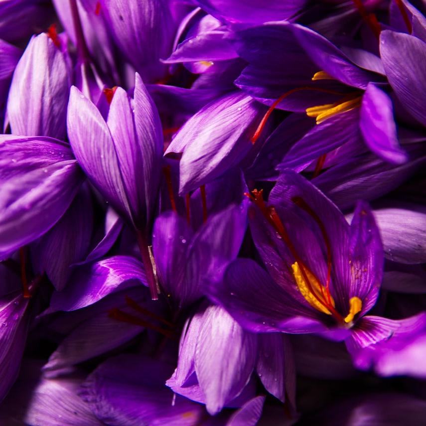 ASMI AYURVEDA Face Elexir Gesichtsöl mit Safran 30ml - Blüten