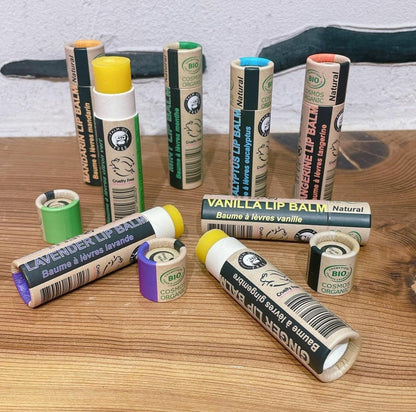 EARTH SENSE ORGANICS | LIPPENBALSAM LIMETTE | 15ml-3