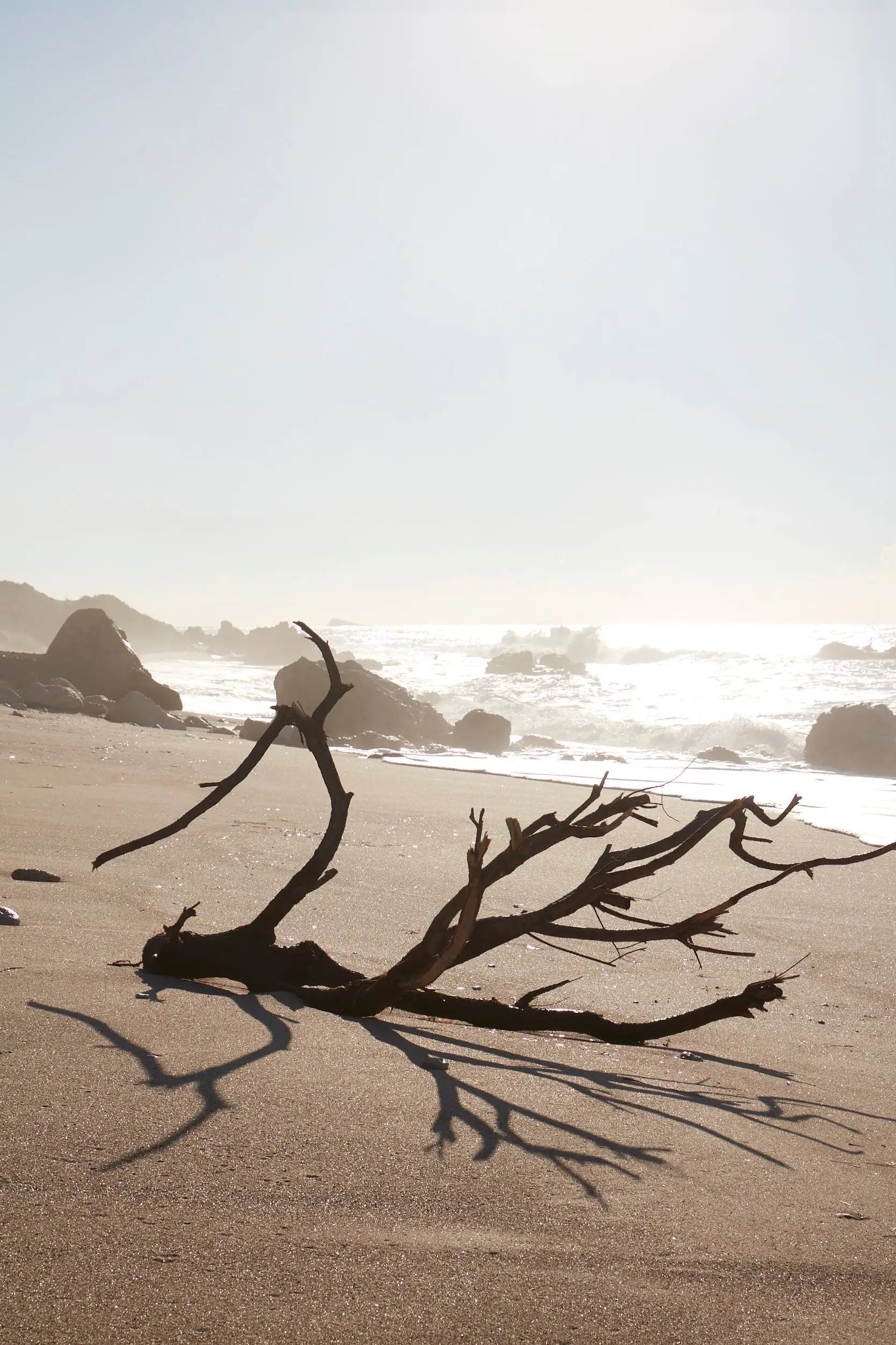 ASMI AYURVEDA Parfümöl Earth Erdendes Aroma 10 ml