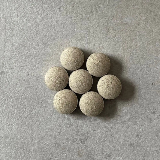 ASMI AYURVEDA Jiva Darmkur ayurvedisches Nahrungsergänzungsmittel 90 Tabletten