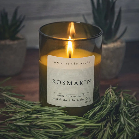 CANDELAE ROSMARIN natürliche Sojawachs Duftkerze im Weinflaschenglas 250 ml