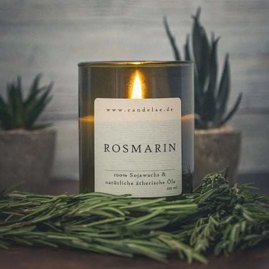 CANDELAE ROSMARIN natürliche Sojawachs Duftkerze im Weinflaschenglas 250 ml