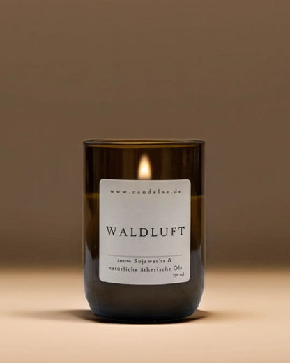 CANDELAE WALDLUFT Sojawachs Duftkerze aus recycleter Weinflasche 250 ml