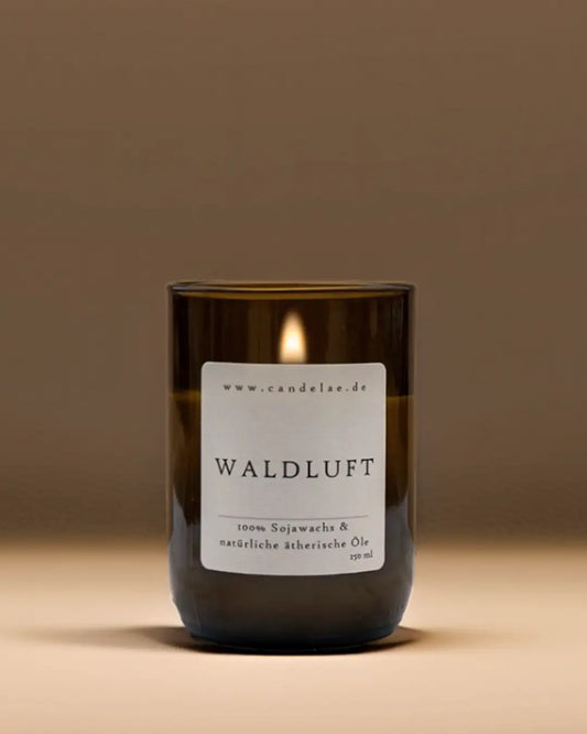 CANDELAE WALDLUFT Sojawachs Duftkerze aus recycleter Weinflasche 250 ml