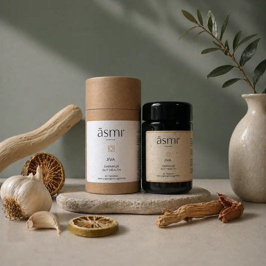 ASMI AYURVEDA Jiva Darmkur ayurvedisches Nahrungsergänzungsmittel 90 Tabletten