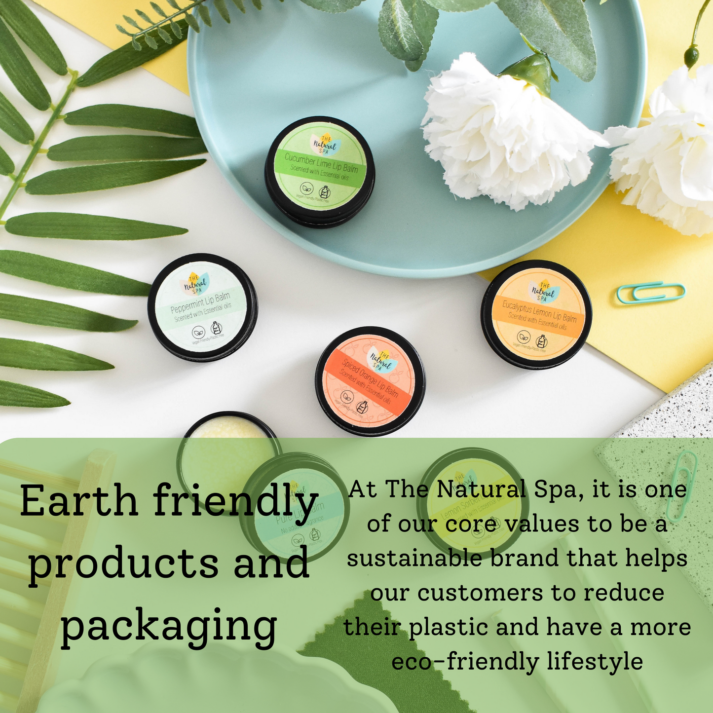 Peppermint Natural Lip Balm | Vegan, Hydrating & Nourishing | Plastic-Free, Handmade Lip Care-3