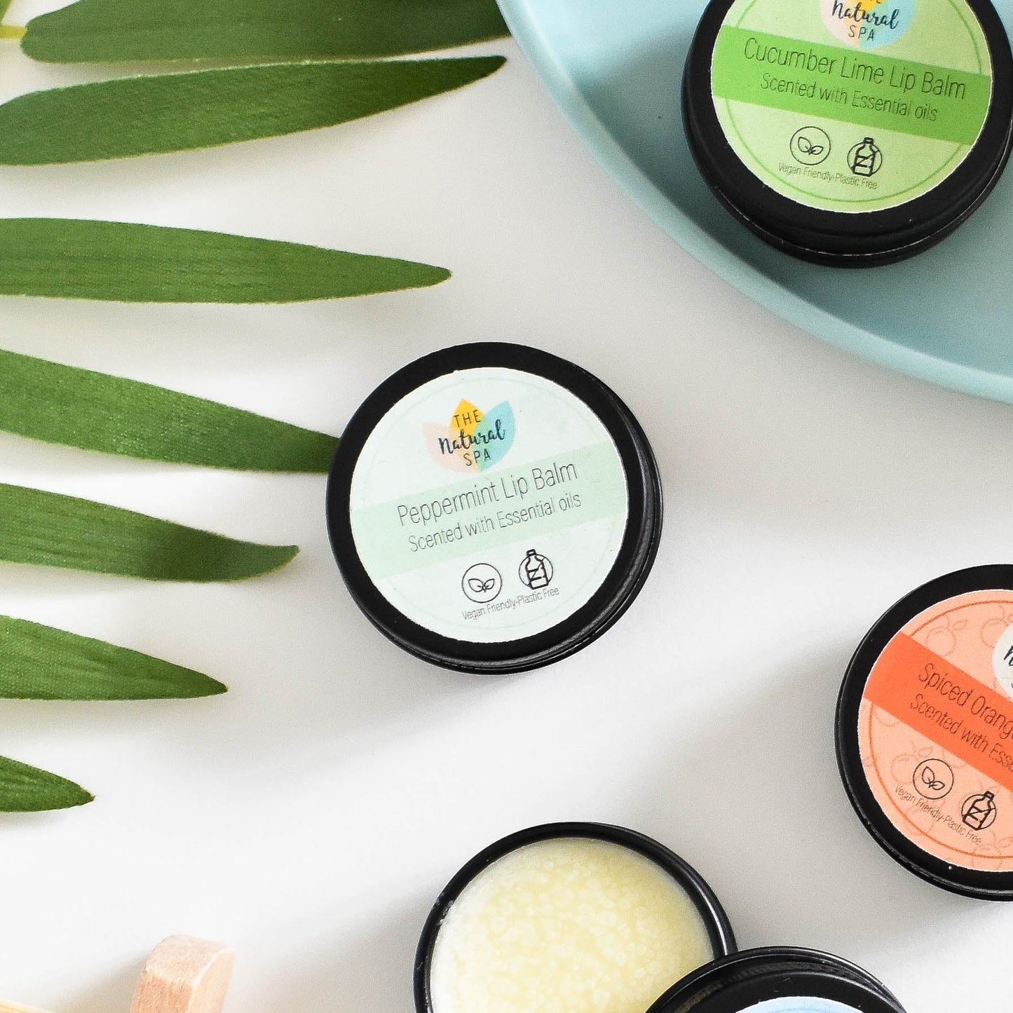 Peppermint Natural Lip Balm | Vegan, Hydrating & Nourishing | Plastic-Free, Handmade Lip Care-0