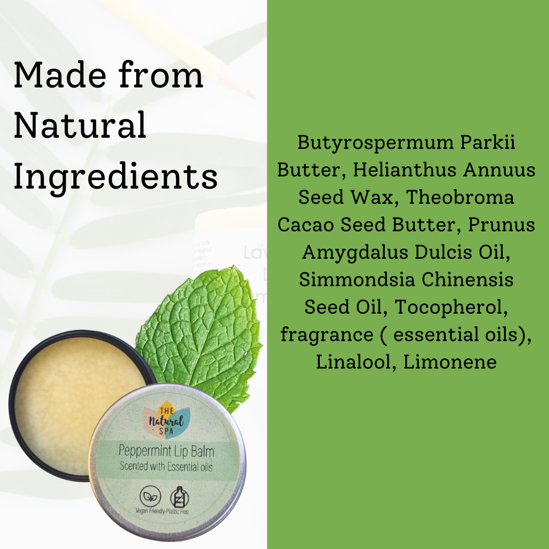 Peppermint Natural Lip Balm | Vegan, Hydrating & Nourishing | Plastic-Free, Handmade Lip Care-4