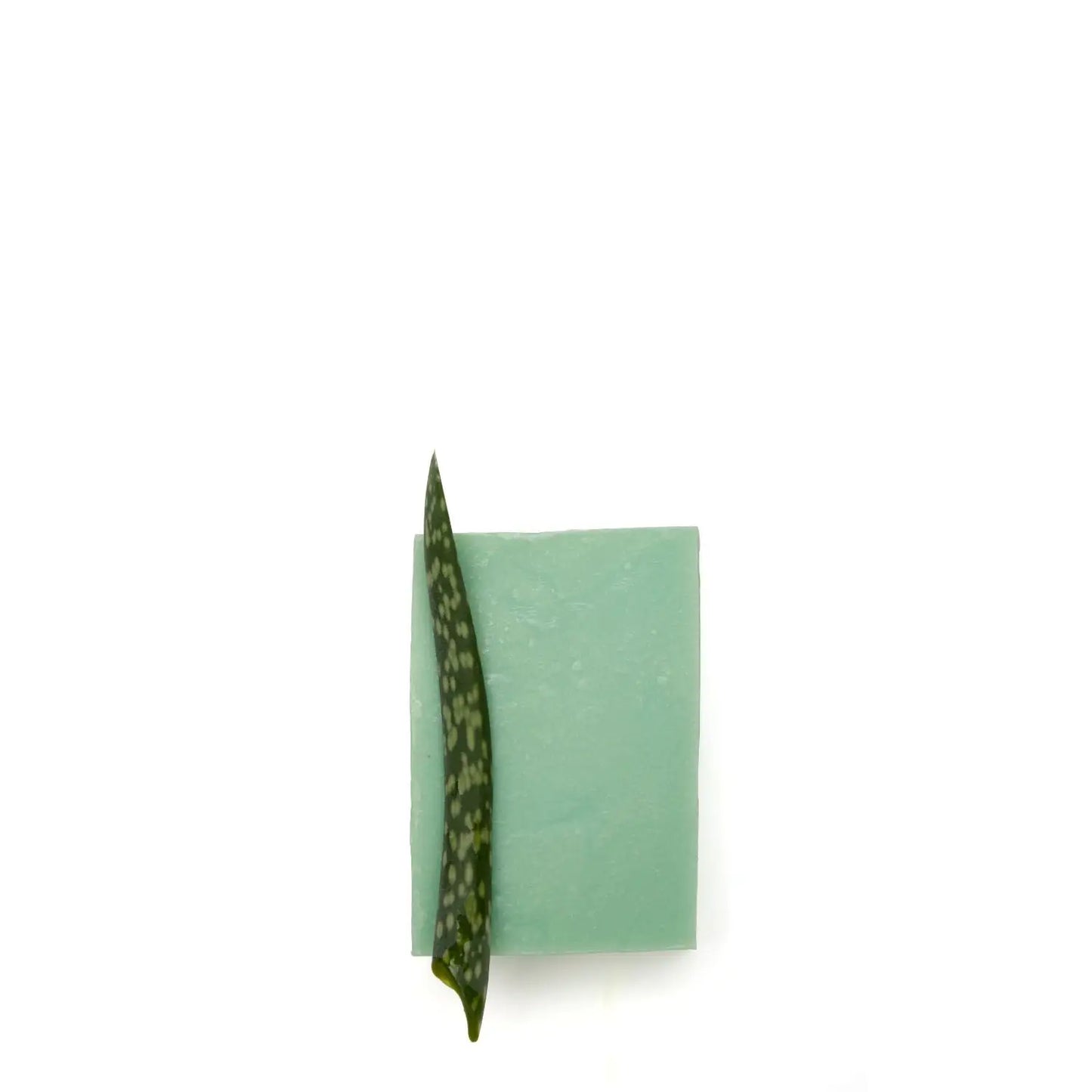 OELFAKTORISCH Dusch- und Pflegeseife mit Aloe Vera 100 g