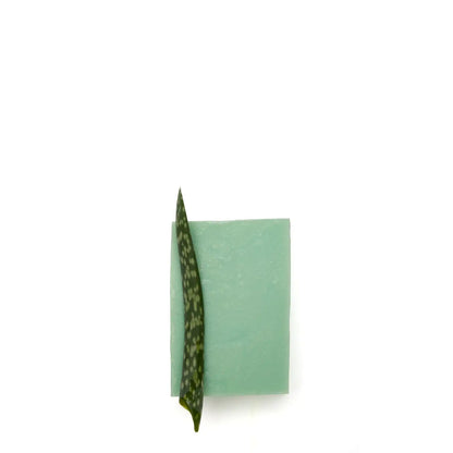 OELFAKTORISCH Dusch- und Pflegeseife mit Aloe Vera 100 g