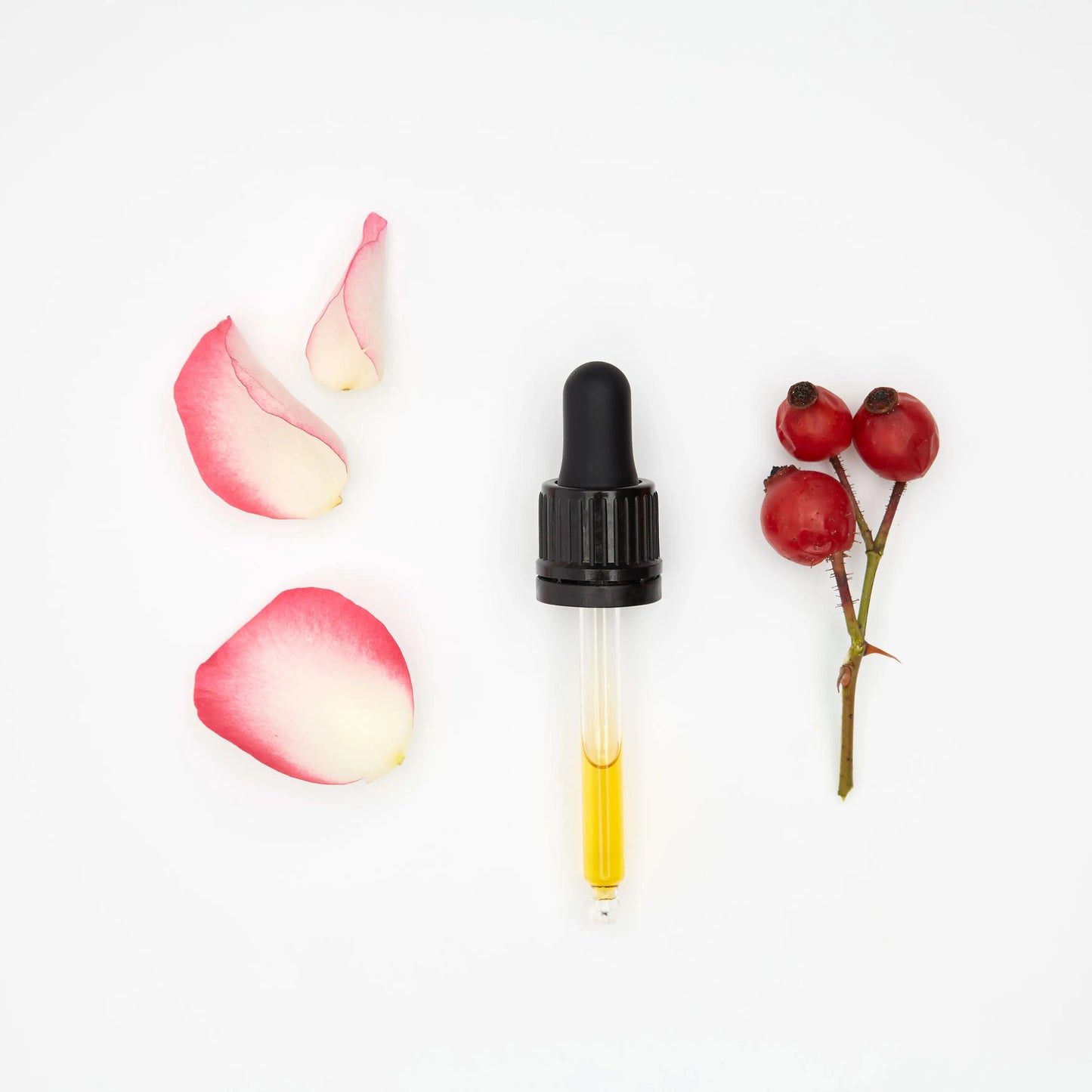 OELFAKTORISCH Wildrosenöl Gesichtsöl mit Jojobaöl und ätherischen Ölen 30 ml / 10 ml
