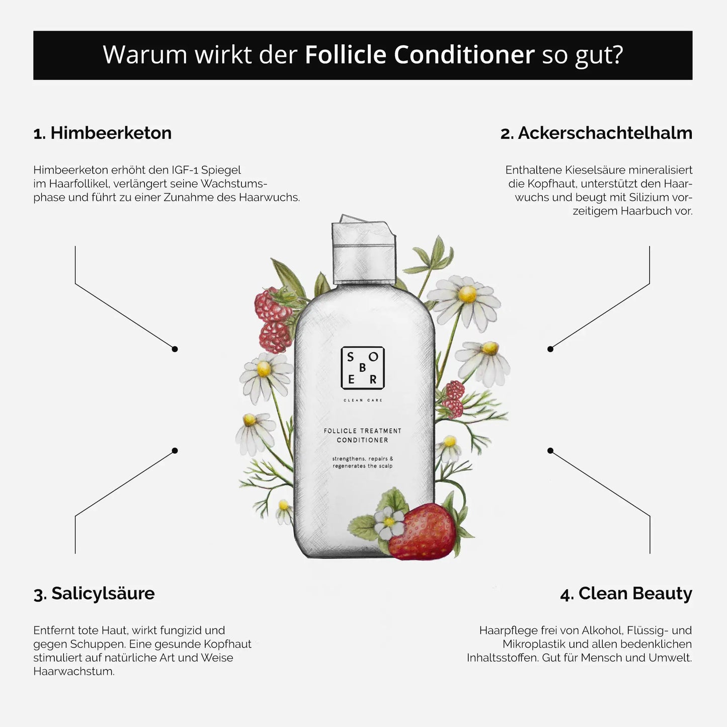 SOBER BERLIN Follicle Treatment Conditioner Anti-Haarausfall Kur 250 ml