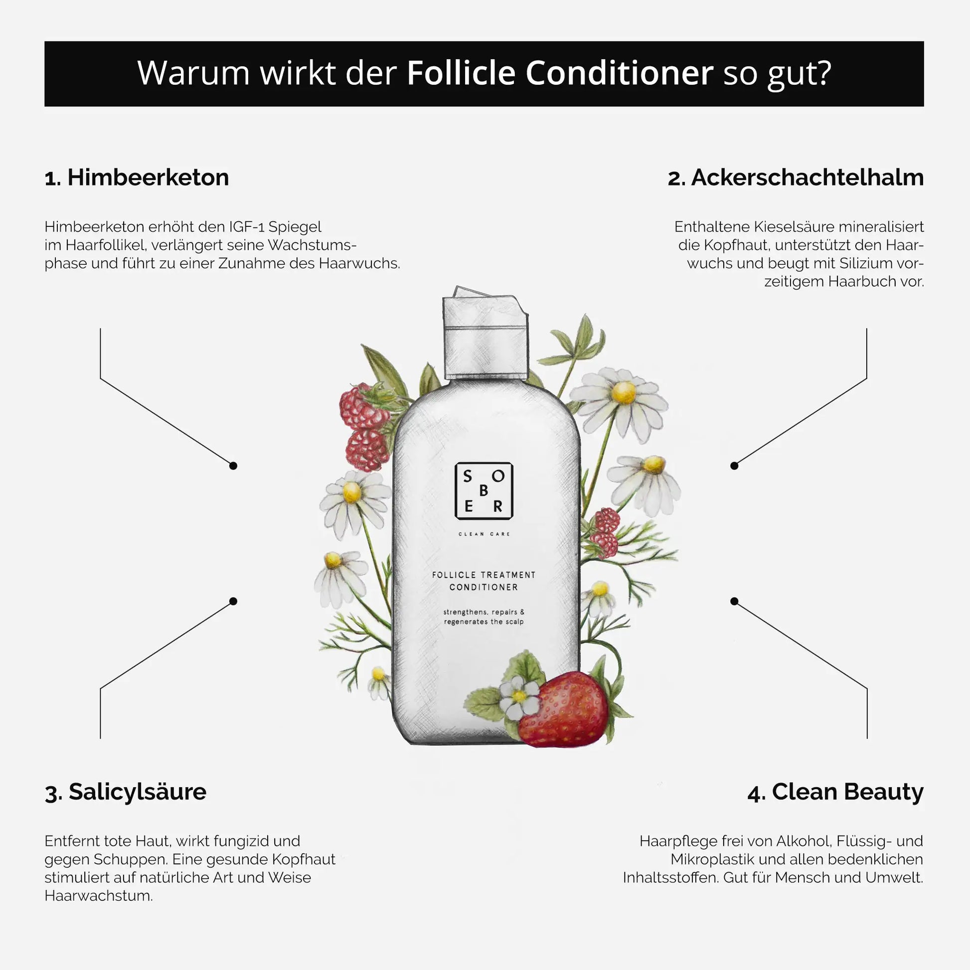 SOBER BERLIN Follicle Treatment Conditioner Anti-Haarausfall Kur 250 ml