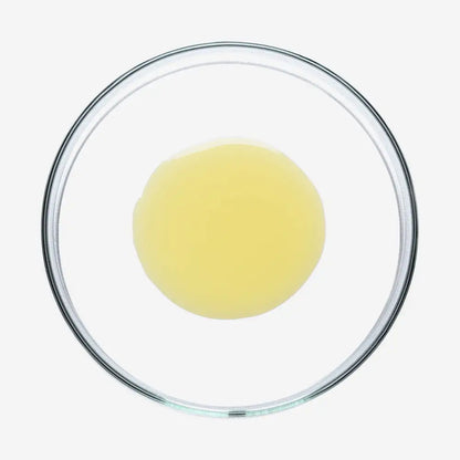 SOBER BERLIN Sun Shield Drops LSF 50 Sonnenschutzserum 30 ml