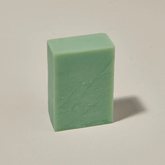 FRIENDS OF NATURE Duschseife Aloe Vera 100g